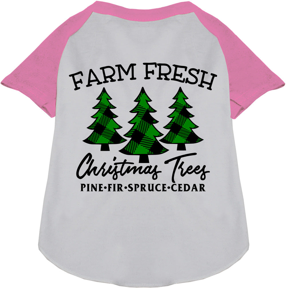 Farm Fresh Christmas Trees Pet Raglan Shirt