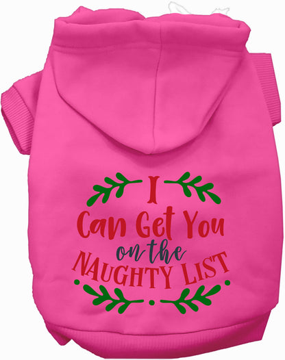 Can Get You on the List Christmas Pet Hoodie