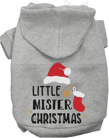 Little Mister Christmas Pet Hoodie