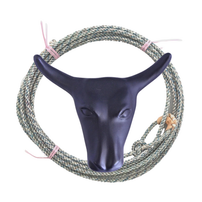 AJ Tack Junior 11" Horn Spread Steer Head Roping Dummy Set with Rope