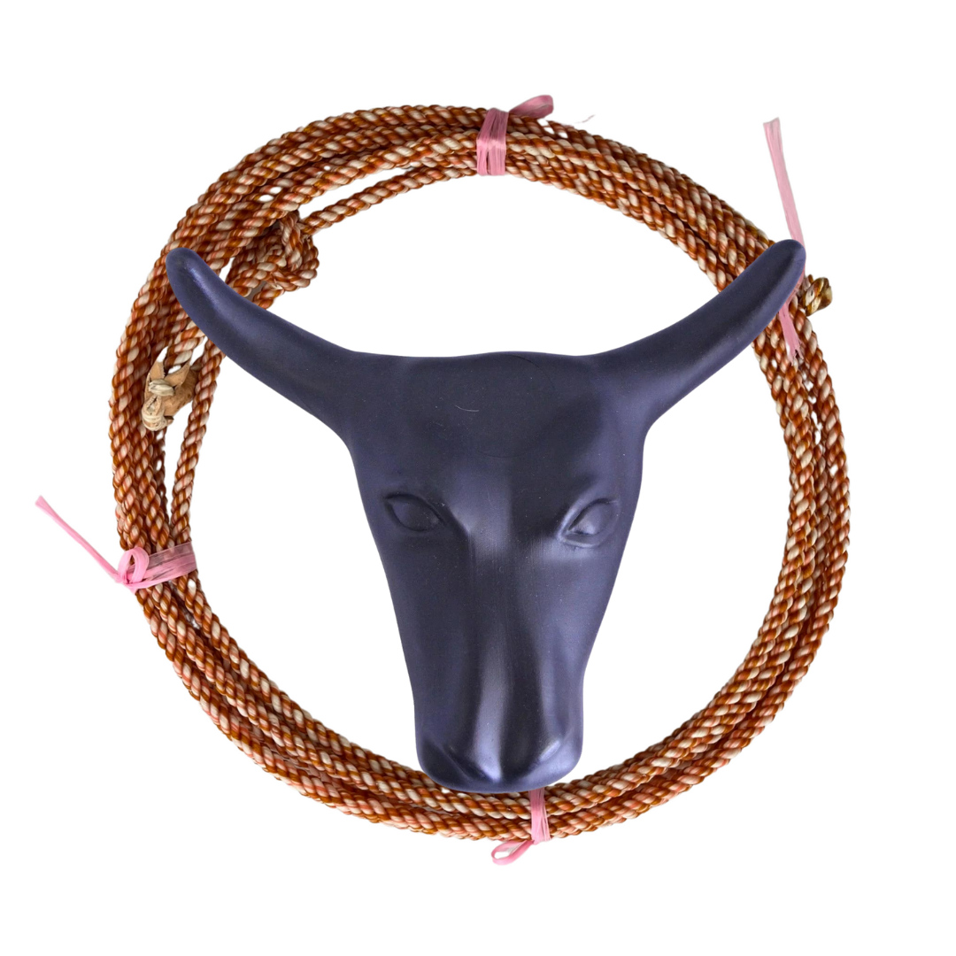 AJ Tack Junior 11" Horn Spread Steer Head Roping Dummy Set with Rope
