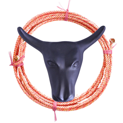 AJ Tack Junior 11" Horn Spread Steer Head Roping Dummy Set with Rope