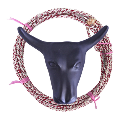 AJ Tack Junior 11" Horn Spread Steer Head Roping Dummy Set with Rope
