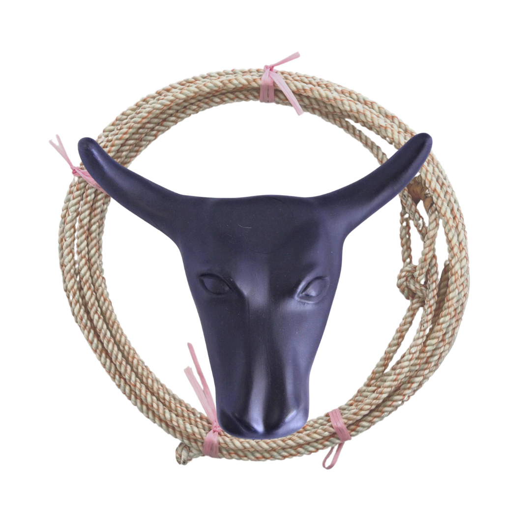 AJ Tack Junior 11" Horn Spread Steer Head Roping Dummy Set with Rope