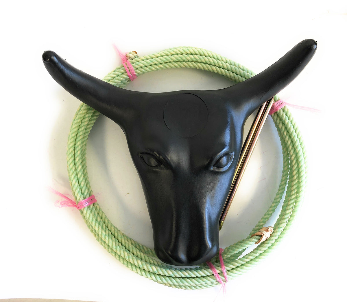 AJ Tack Junior 11" Horn Spread Steer Head Roping Dummy Set with Rope