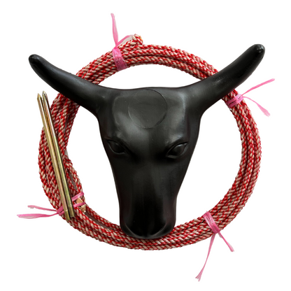 AJ Tack Junior 11" Horn Spread Steer Head Roping Dummy Set with Rope