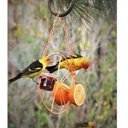 Outdoor Oasis Bird Haven: Vibrant Orange Bird Feeder And Water Station