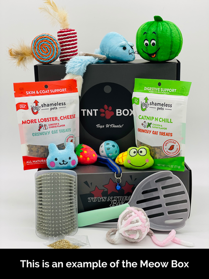 Toys N Treats Boxes