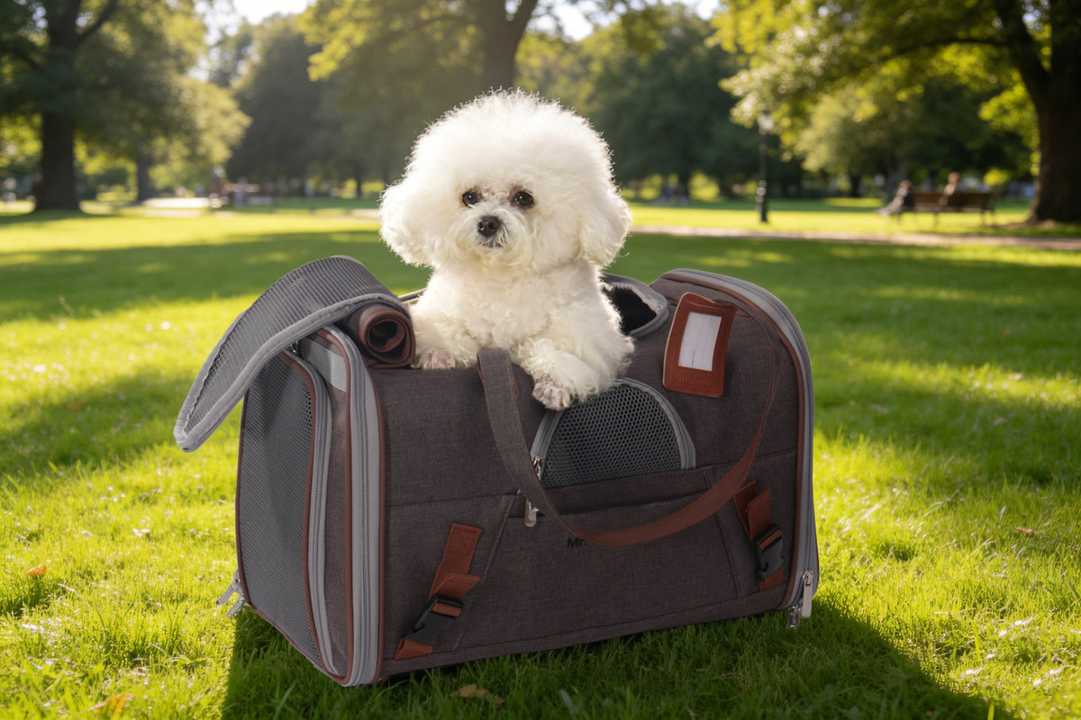 Mr. Peanut's Gold Series V3.0 Pet Carrier