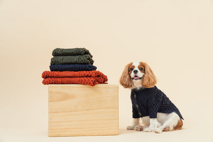 BERT CARDIGAN SWEATER - ORANGE