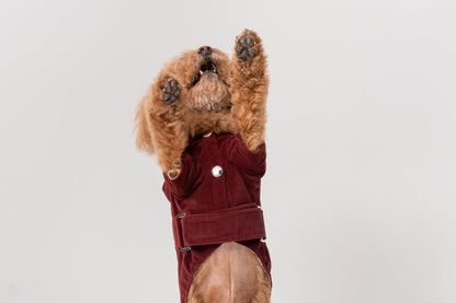 HUSTON HOODIE - DARK BURGUNDY
