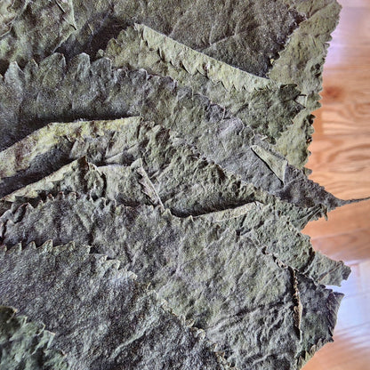 Whole Malaysian Mulberry 10 Leaves