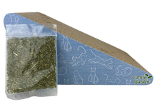 Multipet Catnip Garden®  Scratcher w/ Catnip
