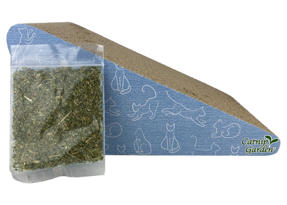 Multipet Catnip Garden®  Scratcher w/ Catnip