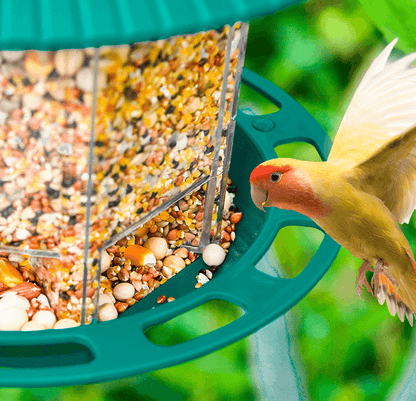 Transparent Hanging Bird Feeder For Outdoor Gardens