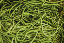 Yardlong Bean Seeds, Dark Green, Asparagus Bean, Snake Bean, Chinese Long Bean, Vigna unguiculata subsp. sesquipedalis