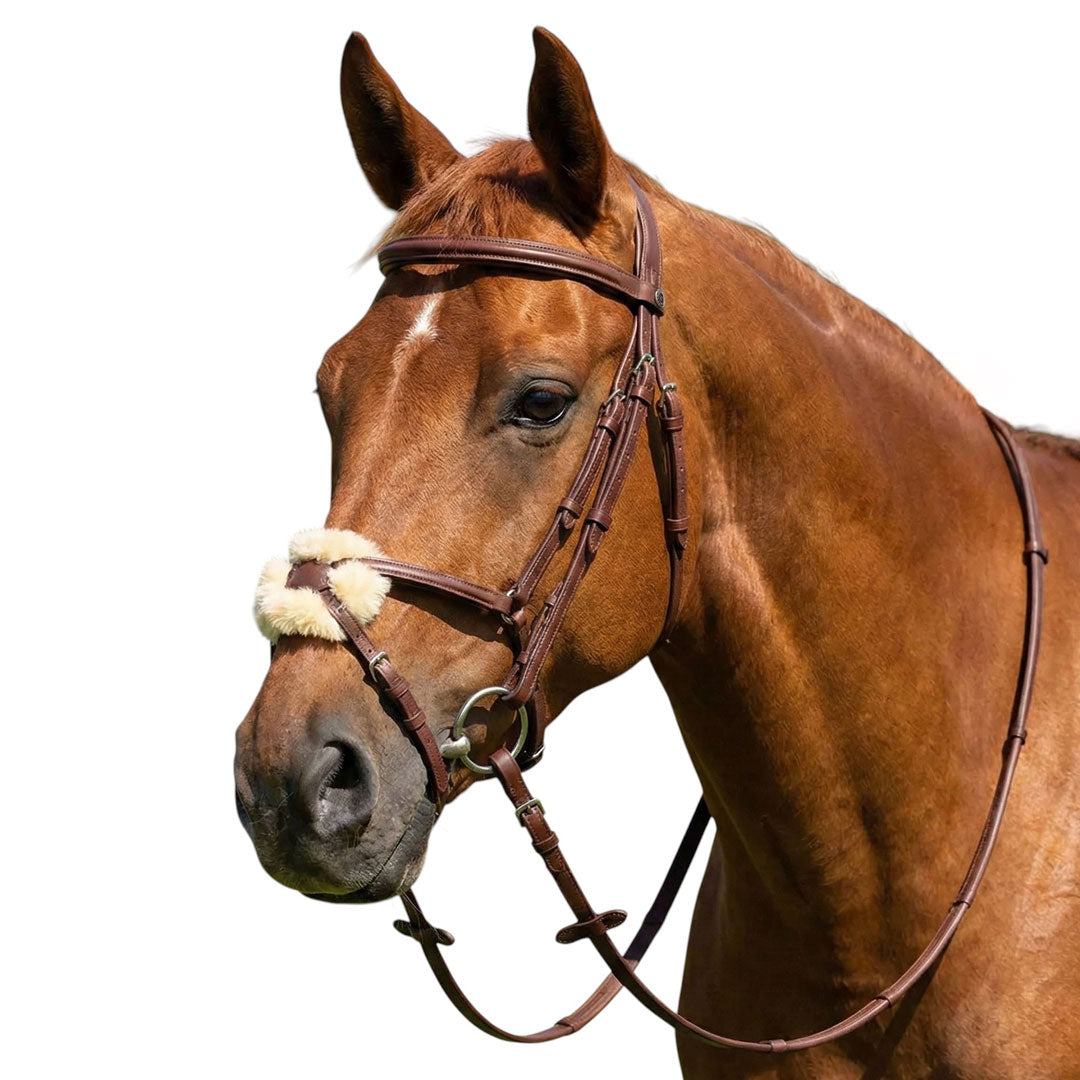 Henri de Rivel Kushy Plain Raised Figure Eight Noseband Bridle