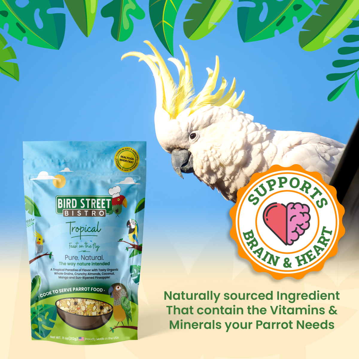 Parrot Food Super-Pack