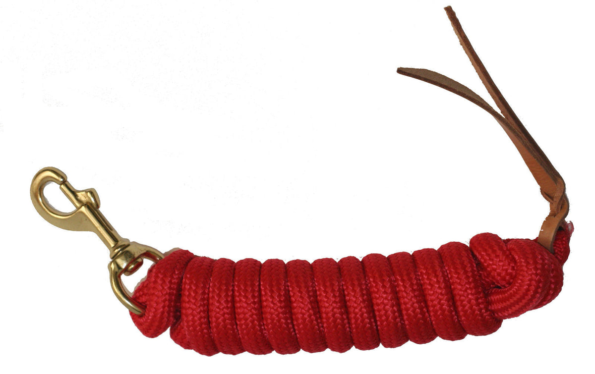 AJ Tack 9 Foot Nylon Lead Rope with Leather Popper
