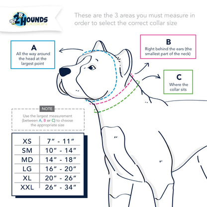 5/8″ and 1″ Silver Nylon Dog Collar