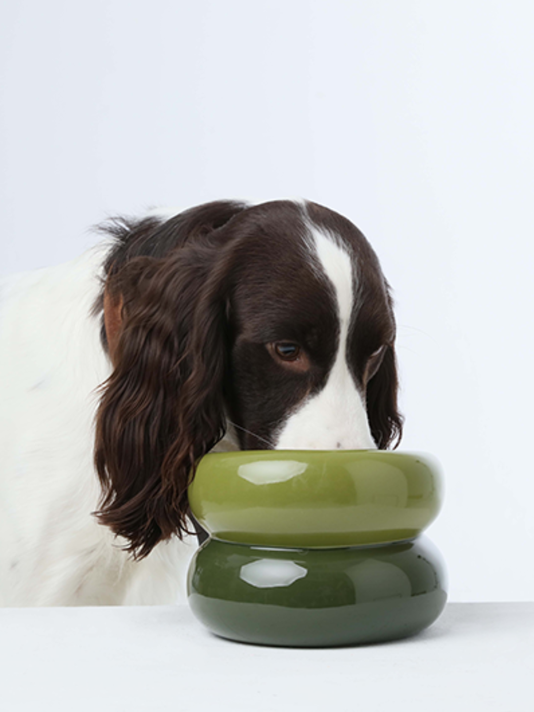 Soufflé Pet Bowl - Avocado Green