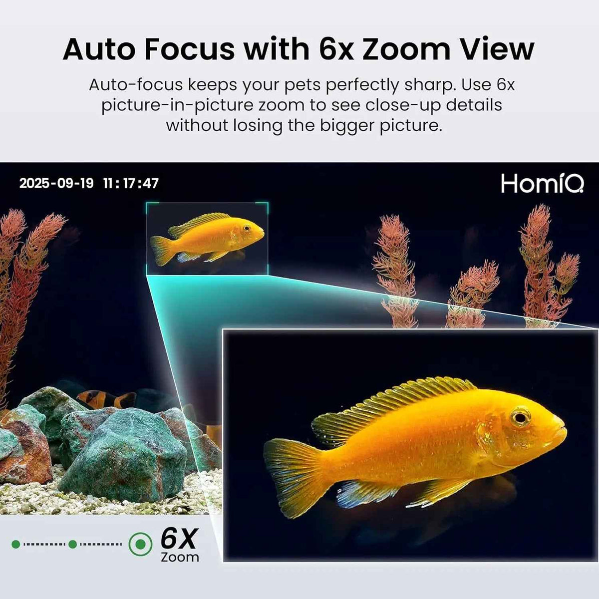 3MP 2K Aquarium & Terrarium Camera with Night Vision