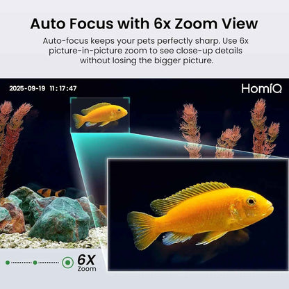 3MP 2K Aquarium & Terrarium Camera with Night Vision