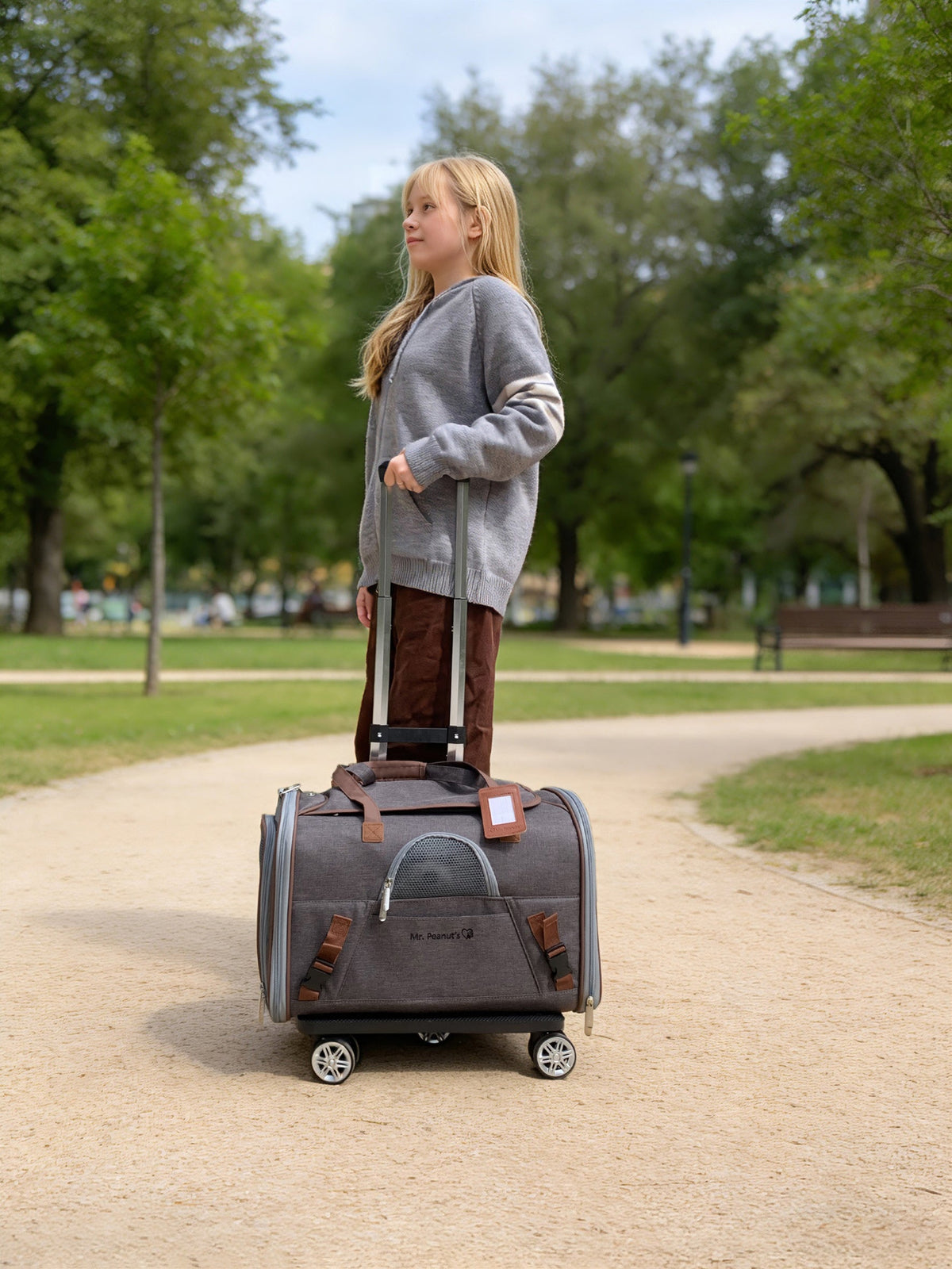 Mr. Peanut's Gold Series V3.0 Pet Carrier