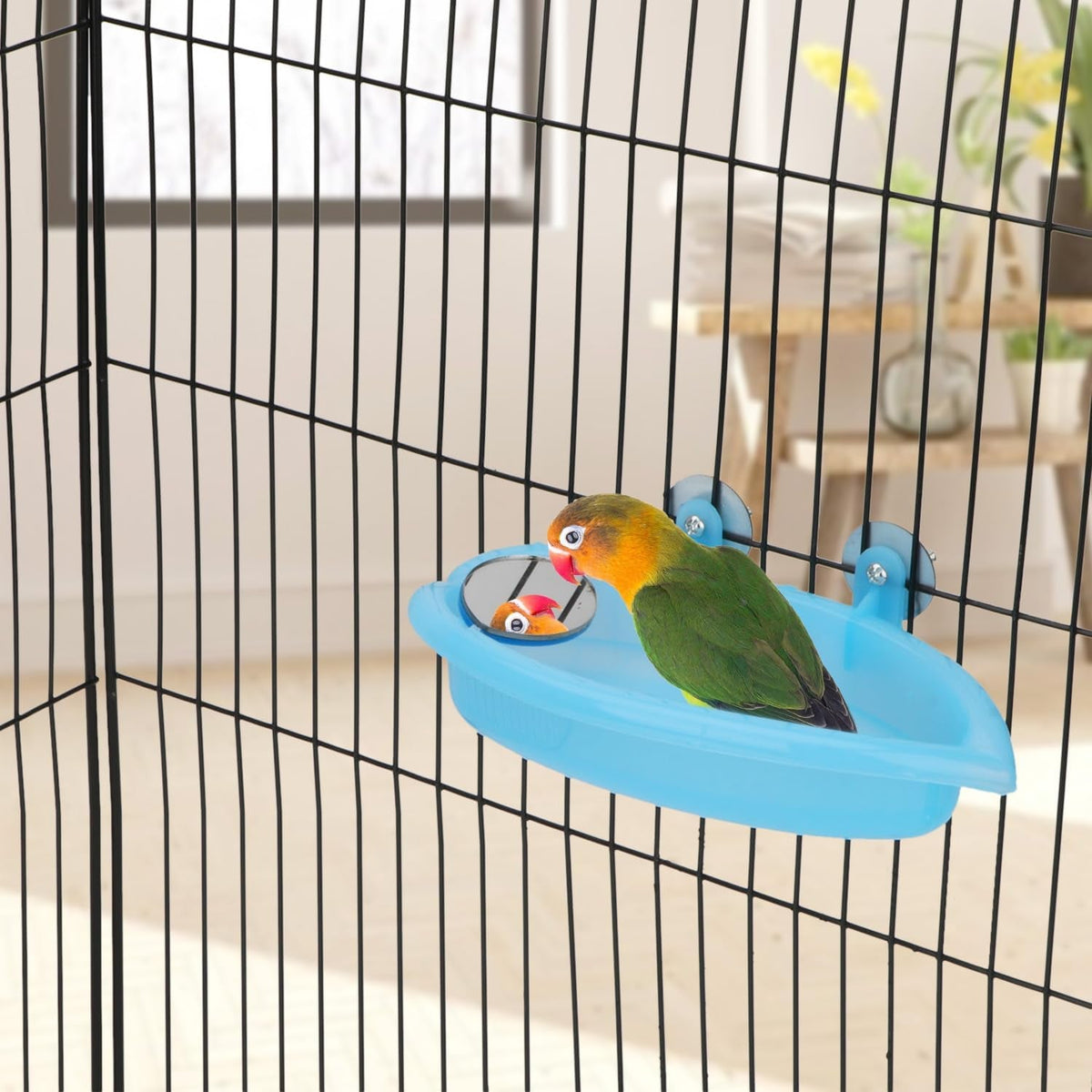 Bird Bath with Mirror Portable