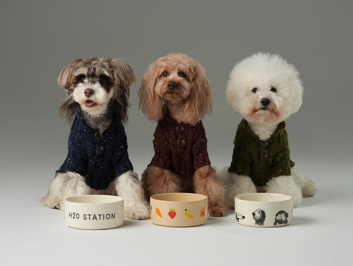 GLACIER PET SWEATER - OLIVE GREEN
