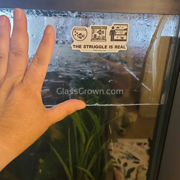 Fish Tank Struggles Decal Sticker