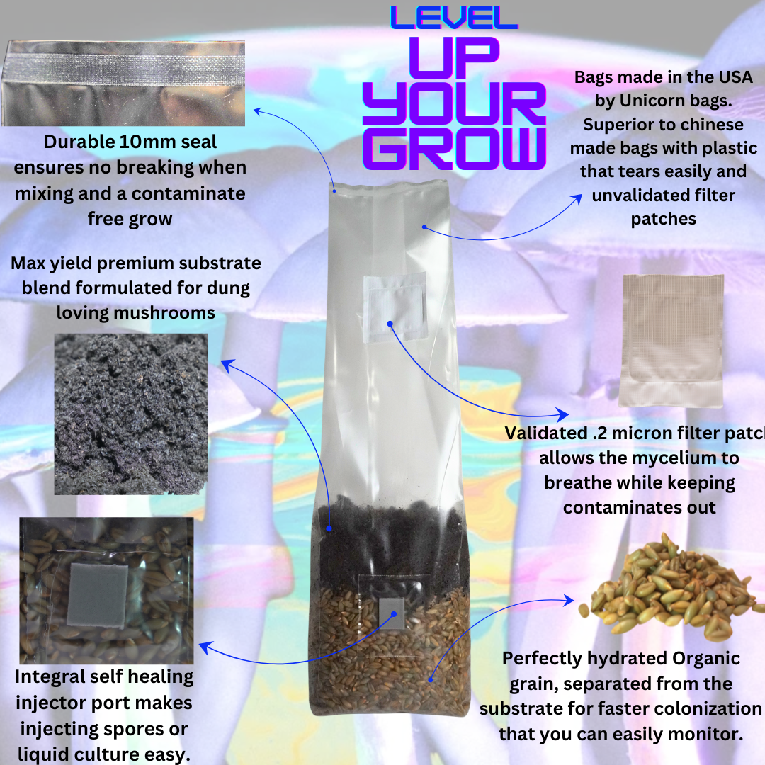 Mini All In One Mushroom Grow Bag