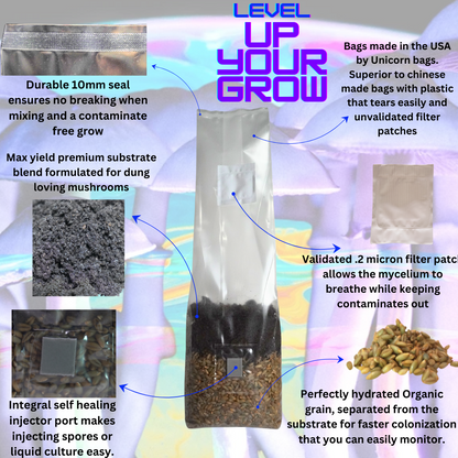 Mini All In One Mushroom Grow Bag