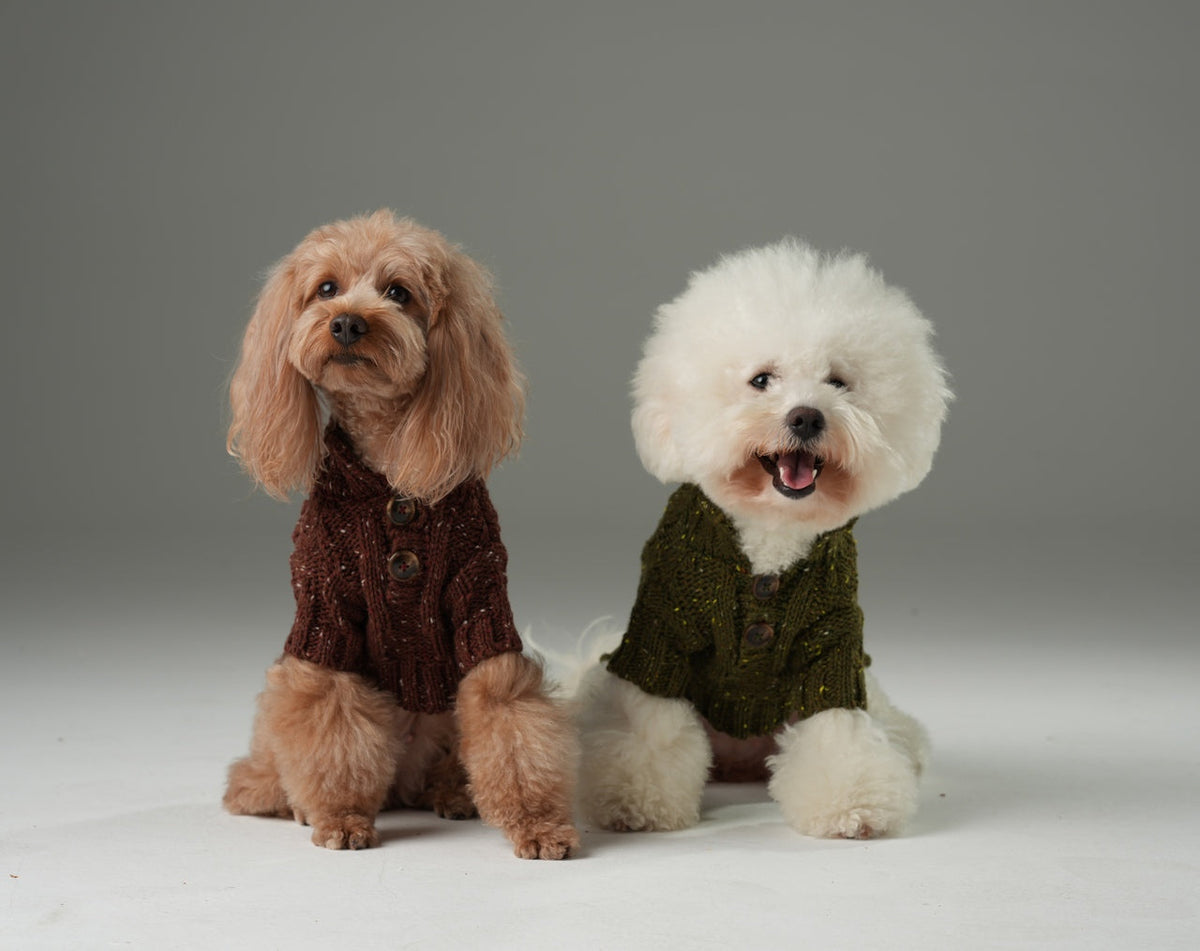 GLACIER PET SWEATER - BURGUNDY