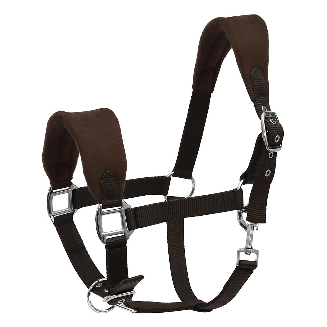 Henri de Rivel Ergonomic Comfort Halter and Lead Rope Set