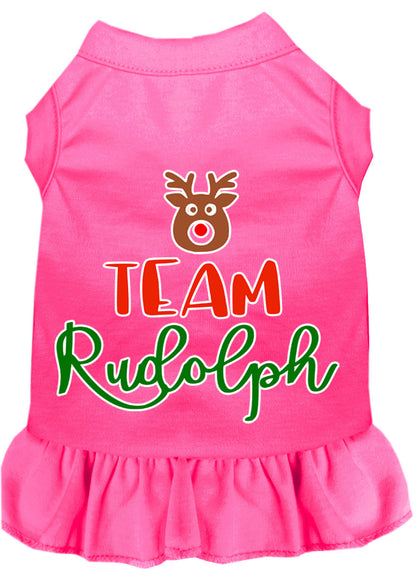 Christmas Pet Dress Screen Printed, "Team Rudolph"