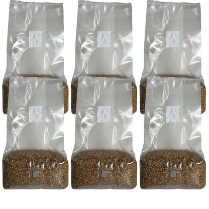 Sterile Mushroom Grain Spawn Bag (5 Pound)