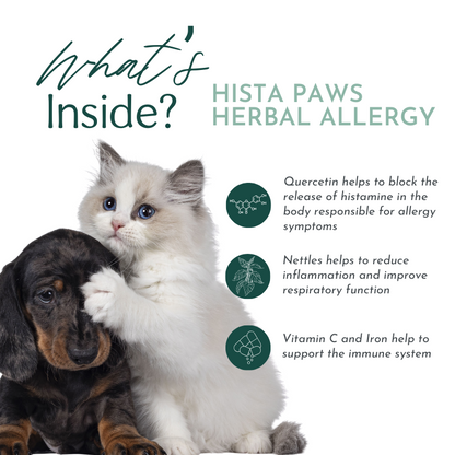 Hista Paws with Quercetin for Dogs and Cats