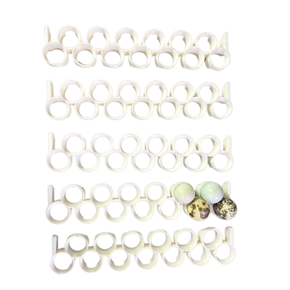 Jumbo Quail Egg Rails for Cimuka / Hatching Time CT120 – Full Set (24 Rails)