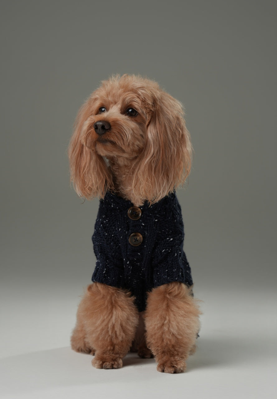 GLACIER PET SWEATER - NAVY