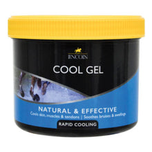 Lincoln Cool Gel - 400g