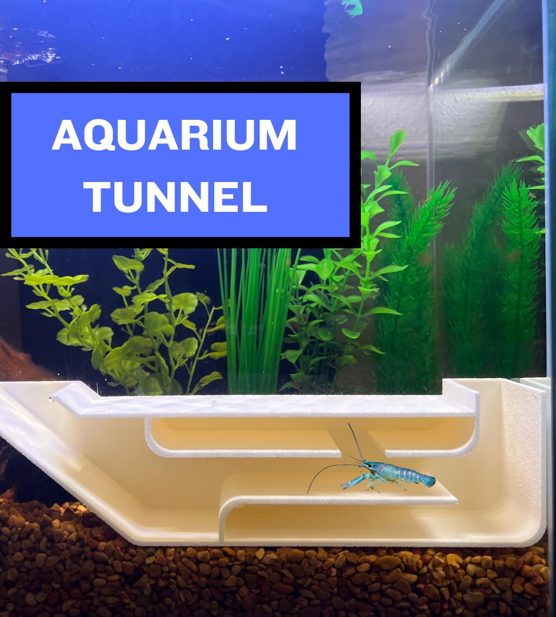 Chatelet REEFSHAPE Aquarium X-Large Underground Tunnel | Fish & Shrimp Hideout for Aquariums | Unique Underground Viewing Tunnel | 9.75" X 2.5" | Made in USA (XL)