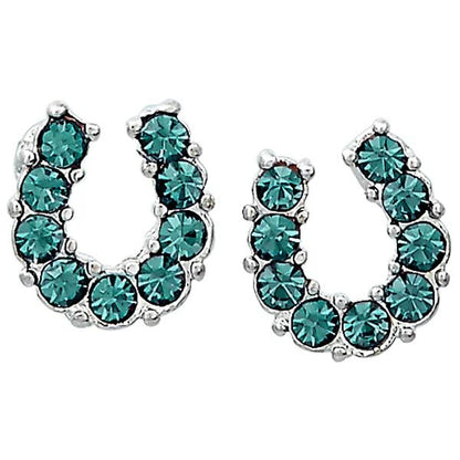 AWST Int'l Rhinestone Horseshoe Earrings  w/Horse Head Gift Box
