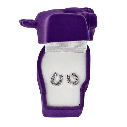 AWST Int'l Rhinestone Horseshoe Earrings  w/Horse Head Gift Box