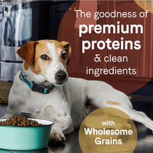 Pure Dog Food with Wholesome Grains Beef/Barley 22 Lb