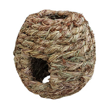 A&E Cage Small Animal Multi-Hole Grass Play Ball Medium