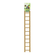 A & E Cages Happy Beaks Small Ladder Bird Toy 1ea/18 in.
