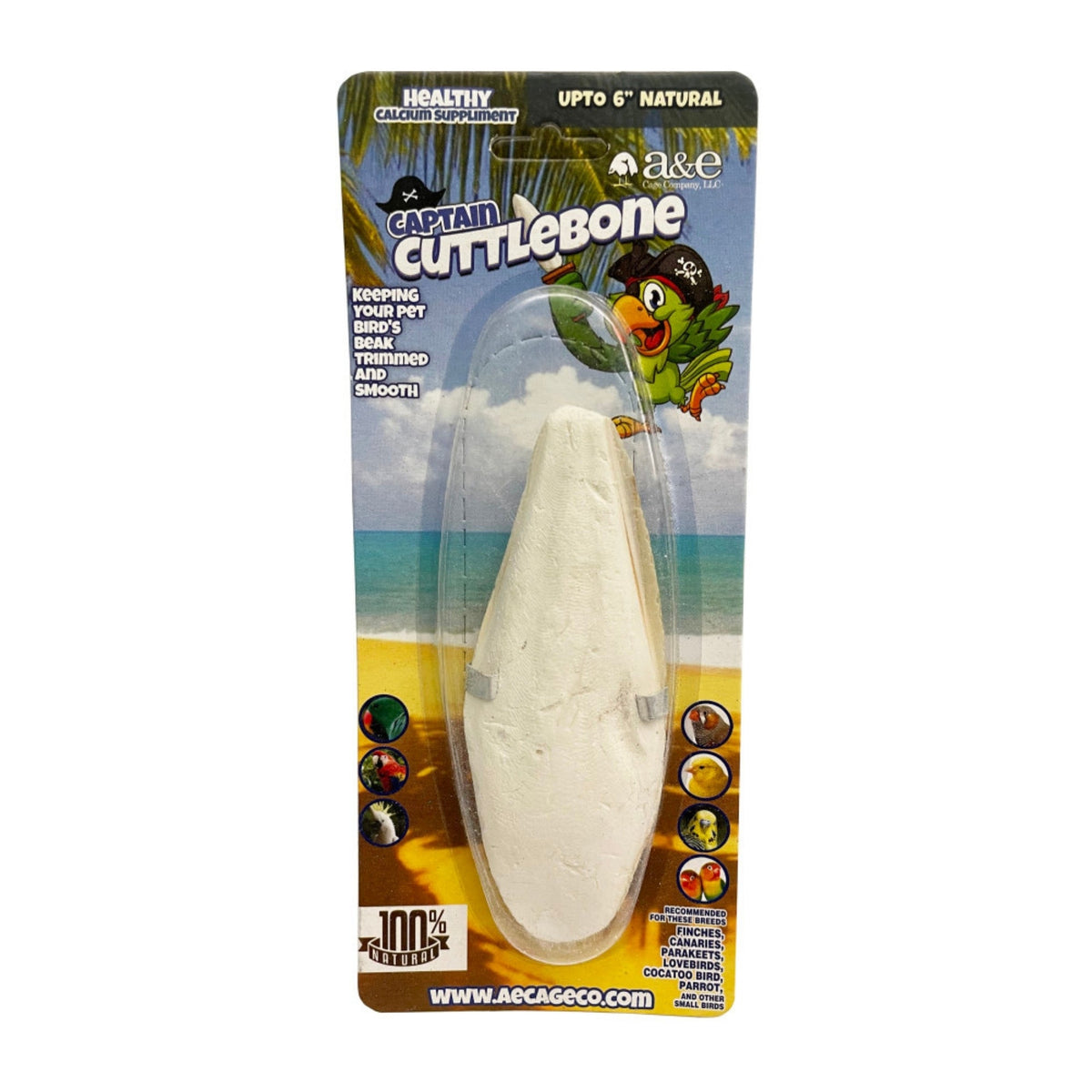 A & E Cages Natural Cuttlebone 1ea/6 in. (Pack of 3)
