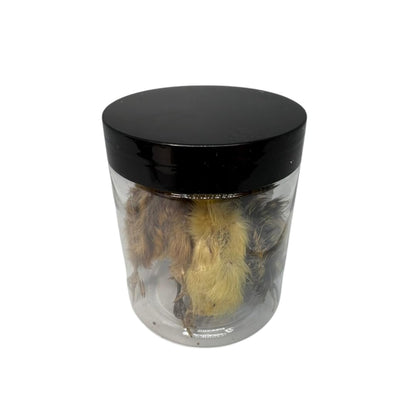 Whole Quail Chick for Carnivore Pets - Natural Prey Feeding - Quality Protein Source Medium Size Chicks 5 Count