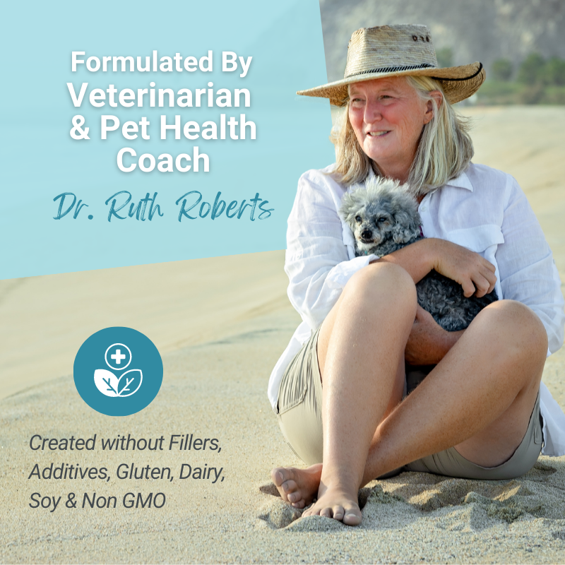 Hista Paws with Quercetin for Dogs and Cats